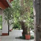 Bistrosa Kávézó Máriagy?d - Külső kép