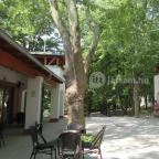 Bistrosa Kávézó Máriagy?d - Külső kép