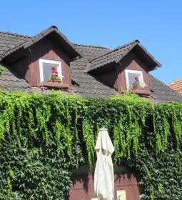 Böne Vendégház & Borozó