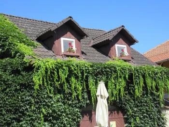 Böne Vendégház & Borozó Tokaj