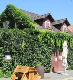 Böne Vendégház & Borozó