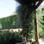 Böne Vendégház & Borozó Tokaj - Külső kép