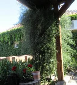 Böne Vendégház & Borozó