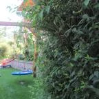 Böne Vendégház & Borozó Tokaj - Medence/kert