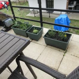 Boróka Vendégház, Pásztó - Medence/kert