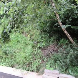 Boróka Vendégház, Pásztó - Környék