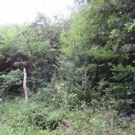 Boróka Vendégház, Pásztó - Környék