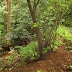 Boróka Vendégház Pásztó - Környék