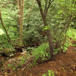 Boróka Vendégház, Pásztó - Környék