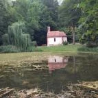 Borostyán-kút kápolna Bakonybél - Egyéb