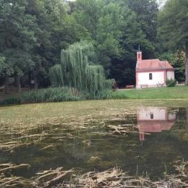 Borostyán-kút kápolna, Bakonybél - Egyéb