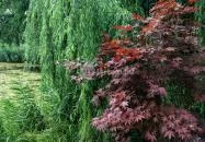 Szent-kút Bakonybél