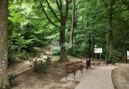 Szent-kút Bakonybél