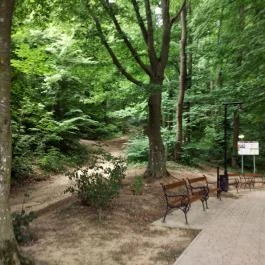 Szent-kút, Bakonybél - Egyéb