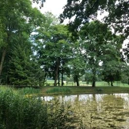 Szent-kút, Bakonybél - Egyéb