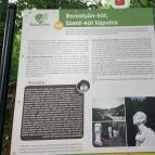 Borostyán-kút kápolna Bakonybél - Egyéb