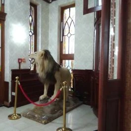 Borostyán Med Hotel, Nyíradony-Tamásipuszta - Belső