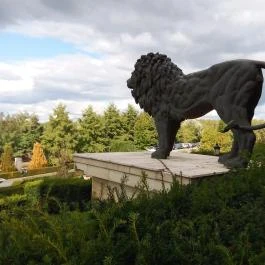 Borostyán Med Hotel, Nyíradony-Tamásipuszta - Külső kép