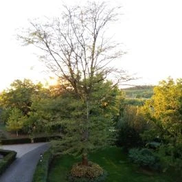 Borostyán Med Hotel, Nyíradony-Tamásipuszta - Medence/kert