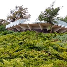 Borostyán Med Hotel, Nyíradony-Tamásipuszta - Medence/kert