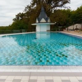 Borostyán Med Hotel, Nyíradony-Tamásipuszta - Medence/kert