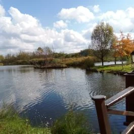 Borostyán Med Hotel, Nyíradony-Tamásipuszta - Medence/kert