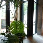 Borostyán Med Hotel Nyíradony-Tamásipuszta - Wellness