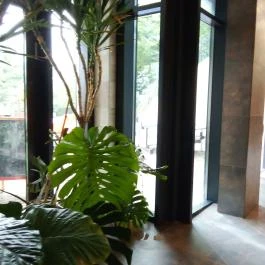 Borostyán Med Hotel, Nyíradony-Tamásipuszta - Wellness