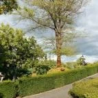 Borostyán Med Hotel Nyíradony-Tamásipuszta - Környék