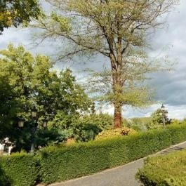 Borostyán Med Hotel, Nyíradony-Tamásipuszta - Környék