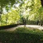 Borostyán Med Hotel Nyíradony-Tamásipuszta - Környék