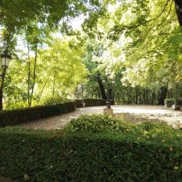 Borostyán Med Hotel, Nyíradony-Tamásipuszta - Környék