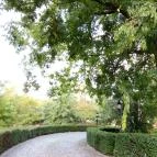 Borostyán Med Hotel Nyíradony-Tamásipuszta - Környék