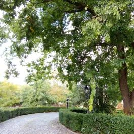 Borostyán Med Hotel, Nyíradony-Tamásipuszta - Környék