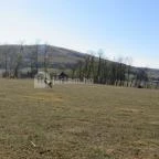 Bőszénfai Szarvasfarm Bőszénfa - 