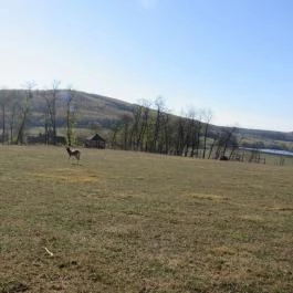 Bőszénfai Szarvasfarm, Bőszénfa - 