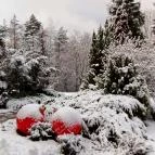 Calimbra Konferencia & Wellness Hotel Miskolctapolca - Medence/kert