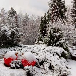 Calimbra Konferencia & Wellness Hotel Miskolctapolca - Medence/kert