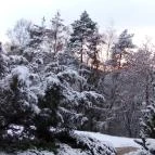 Calimbra Konferencia & Wellness Hotel Miskolctapolca - Medence/kert