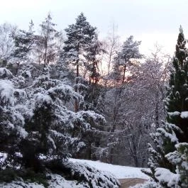 Calimbra Konferencia & Wellness Hotel Miskolctapolca - Medence/kert