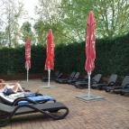 Colosseum Wellness Hotel Mórahalom - Medence/kert