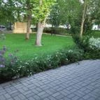 Colosseum Wellness Hotel Mórahalom - Környék