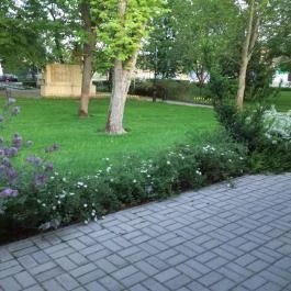 Colosseum Wellness Hotel, Mórahalom - Környék