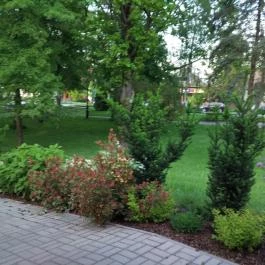 Colosseum Wellness Hotel, Mórahalom - Környék