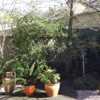 Corso Boutique Hotel Gyula - Külső kép