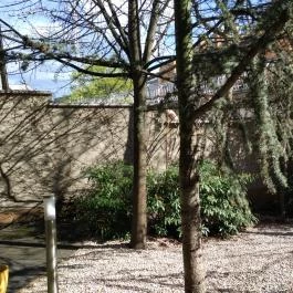 Corso Boutique Hotel Gyula - Külső kép