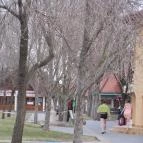 Cserkeszőlő Fürdő és Gyógyászati Központ Cserkeszőlő - 