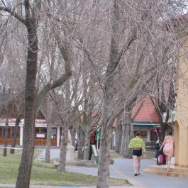 Cserkeszőlő Fürdő és Gyógyászati Központ Cserkeszőlő - Egyéb