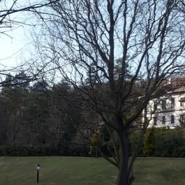 Erzsébet Park Hotel, Parádfürdő - Környék