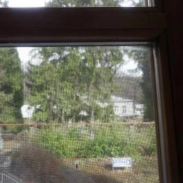 Erzsébet Park Hotel, Parádfürdő - Környék